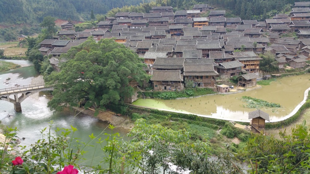 豐收的貴州黔東南州榕江縣寨蒿鎮(zhèn)烏公村曬谷子美景