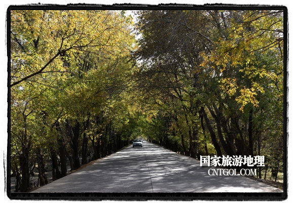 扎蘭屯市五彩繽紛賞秋色“游人如織”(圖)